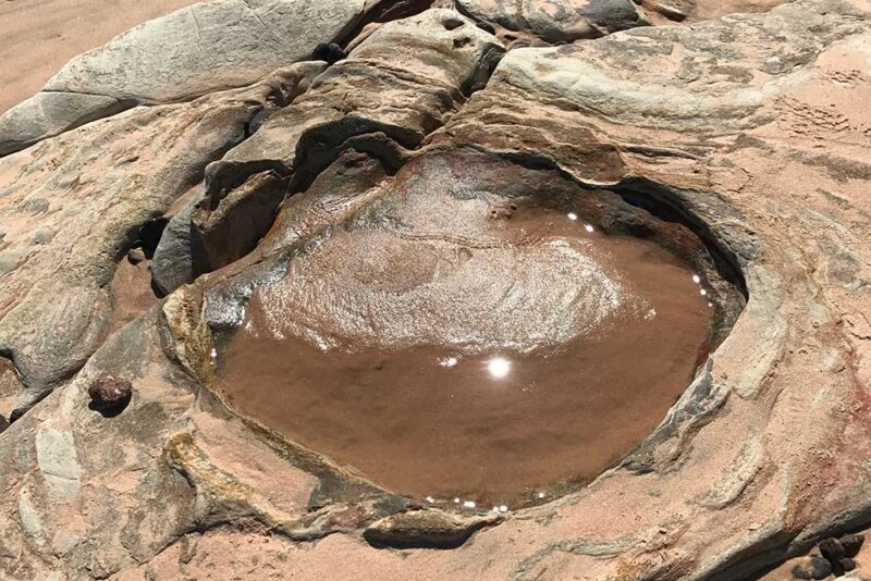 Broome Dinosaur footprints