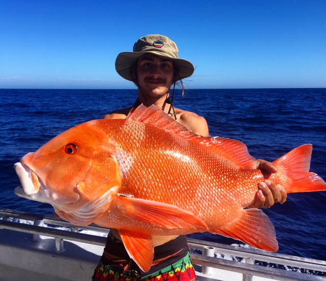 Red Emperor Fish Season