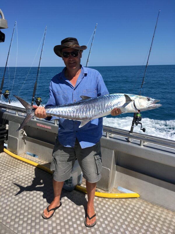 Spanish Mackerel