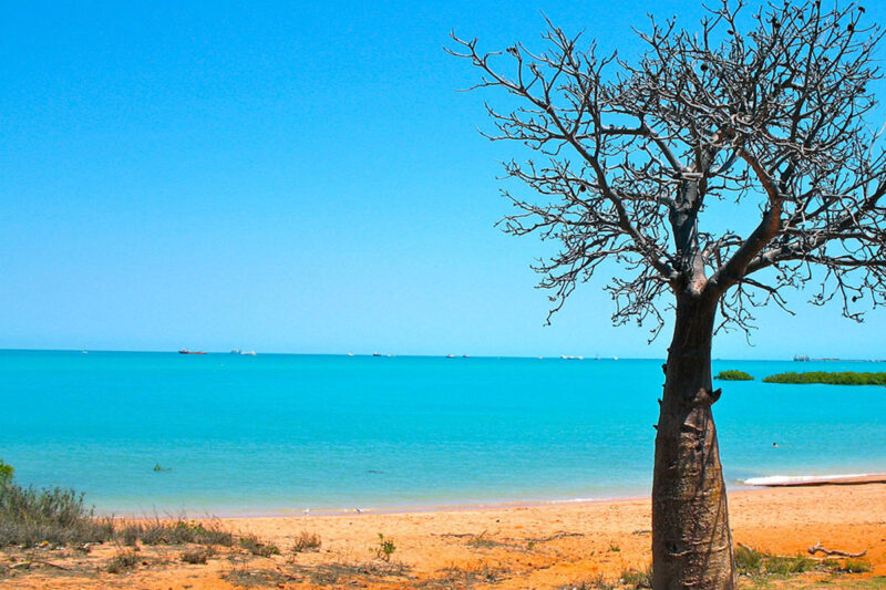 6 Indigenous Seasons of Broome