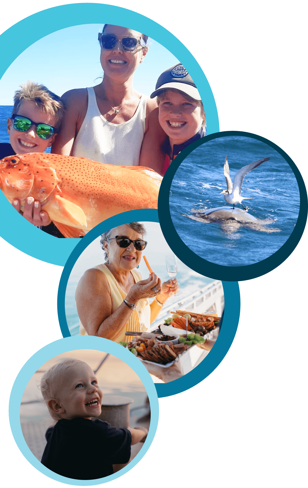 Collage of exclusive tailored experience with Absolute Ocean Charters