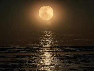 Staircase to the moon Broome WA