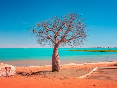 Town Beach Broome